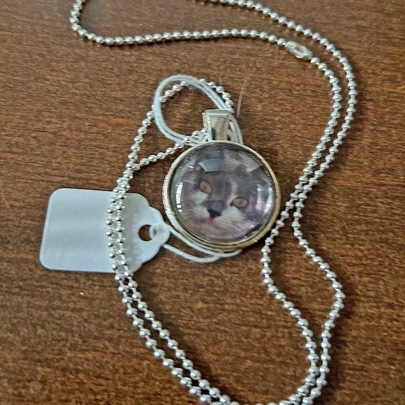 TABBY CAT PENDANT NECKLACE, GLASS DOME ON METAL, 23 INCH SILVER-TONE BALL CHAIN, - Picture 2 of 3